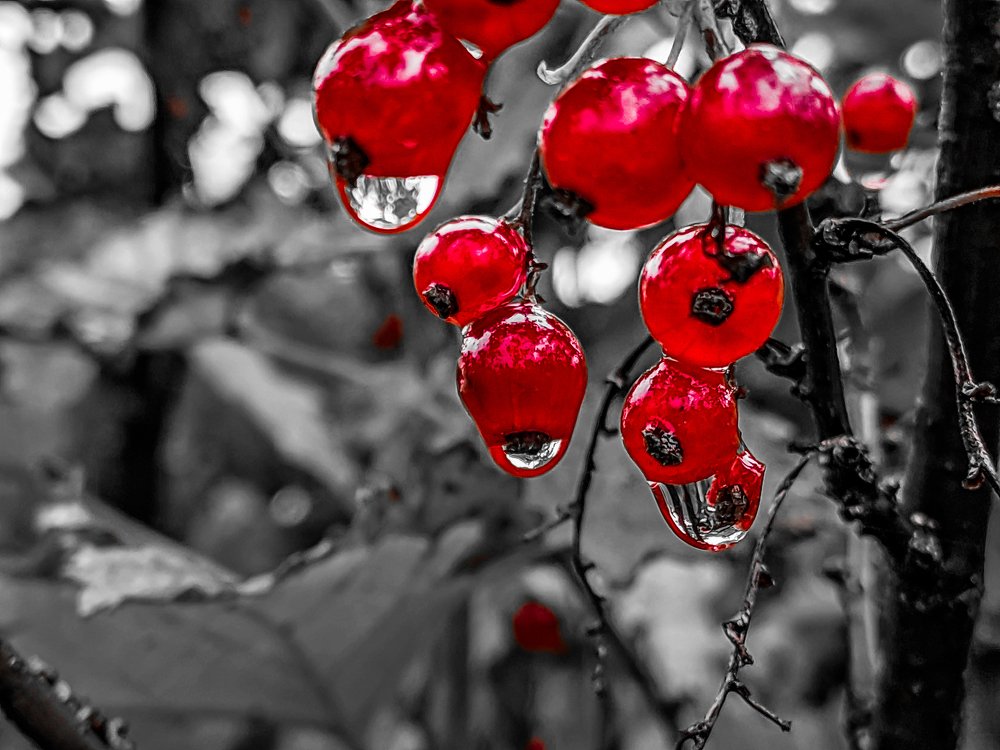 Photograph by Денис Пономарёв