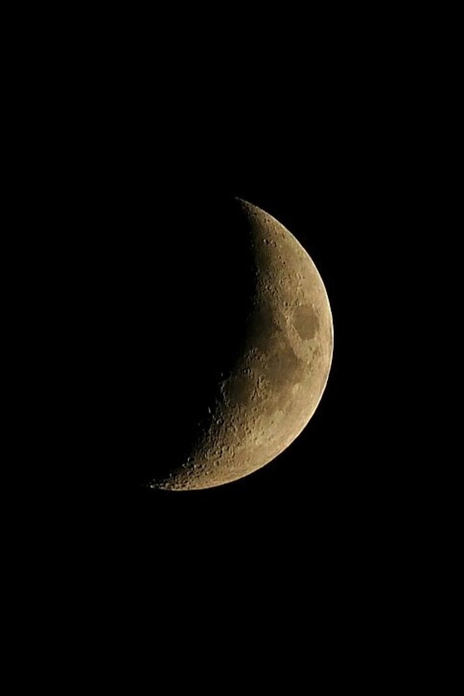 Photograph by Ирина