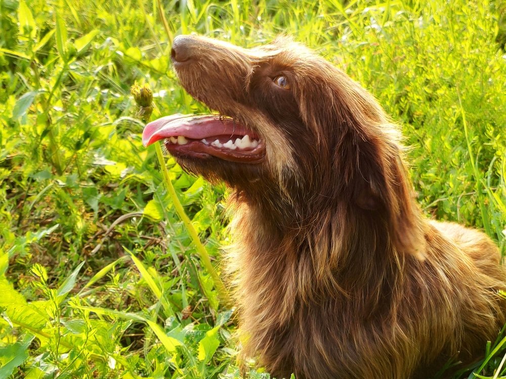 Photograph by Денис Пономарёв