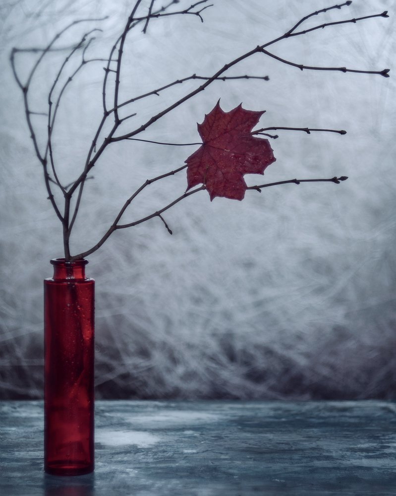 Последний лист/last leaf