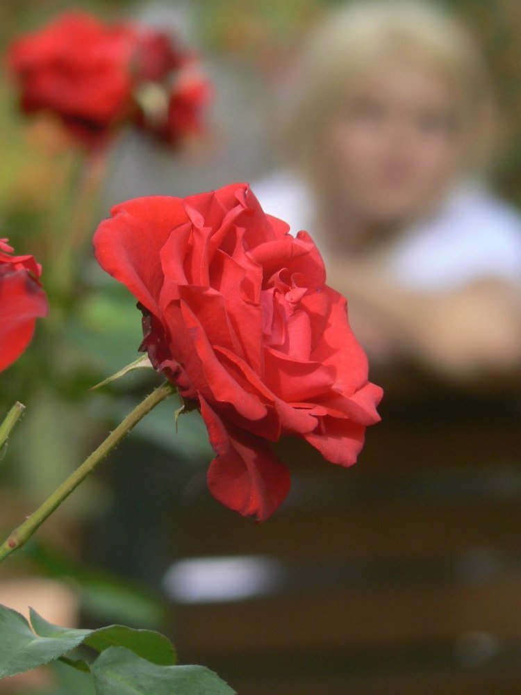 Photograph by Наталья Кучеренко