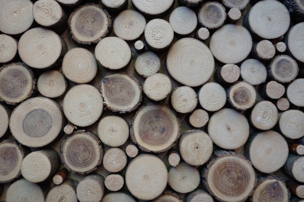 Фотография автора Ирина Зайцева