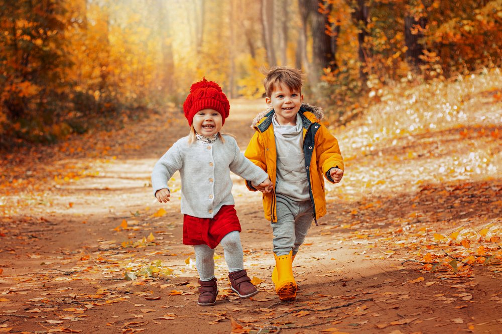 Лесная прогулка