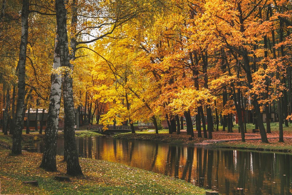 краски осени