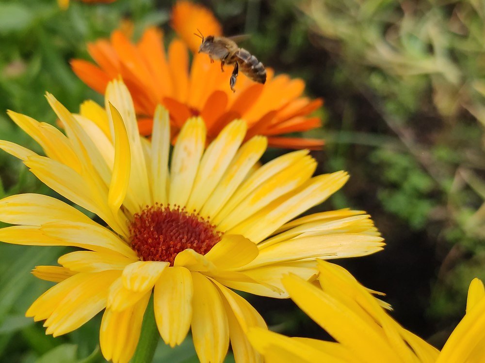 Photograph by Денис Пономарёв