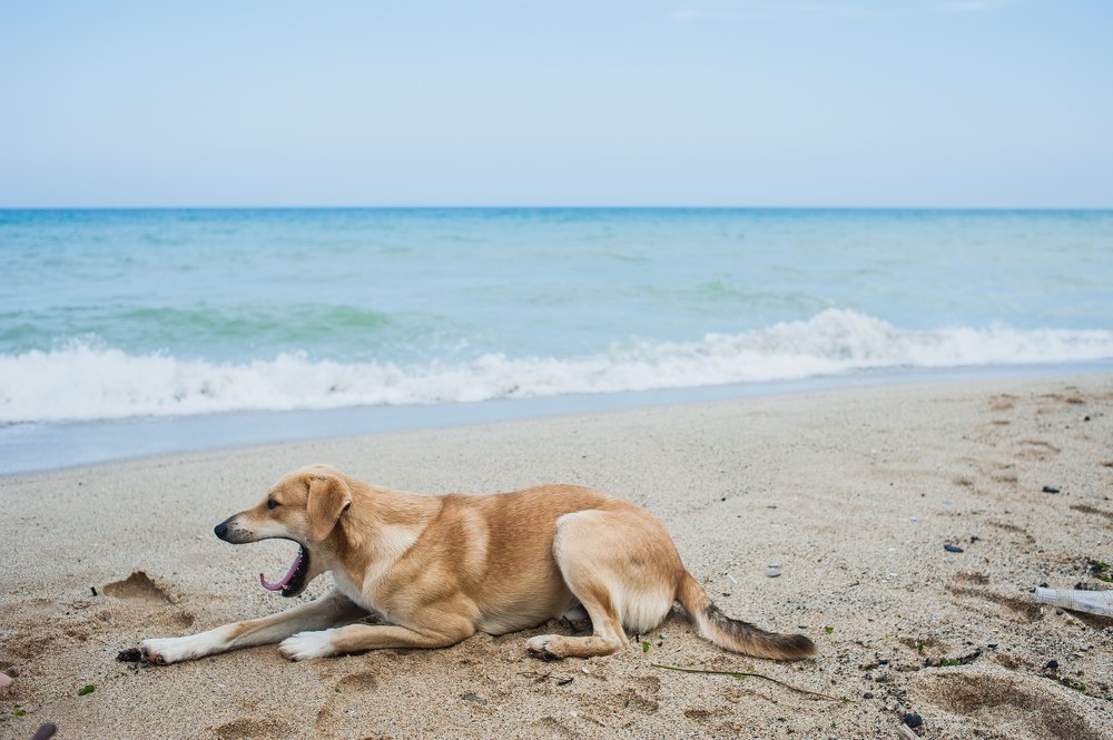 Photograph by Илья Тихановский