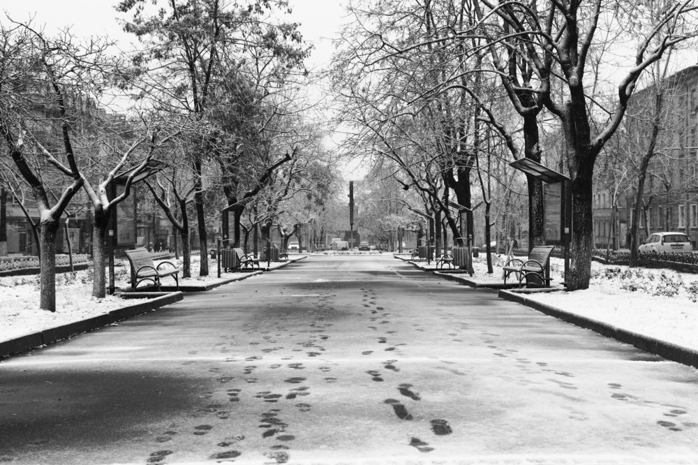 Photograph by Igor Filipenco