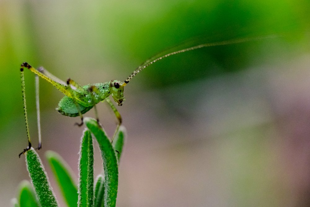 Photograph by Юрьевич Юрий