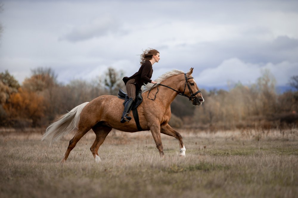 Photograph by Мария Старосельцева