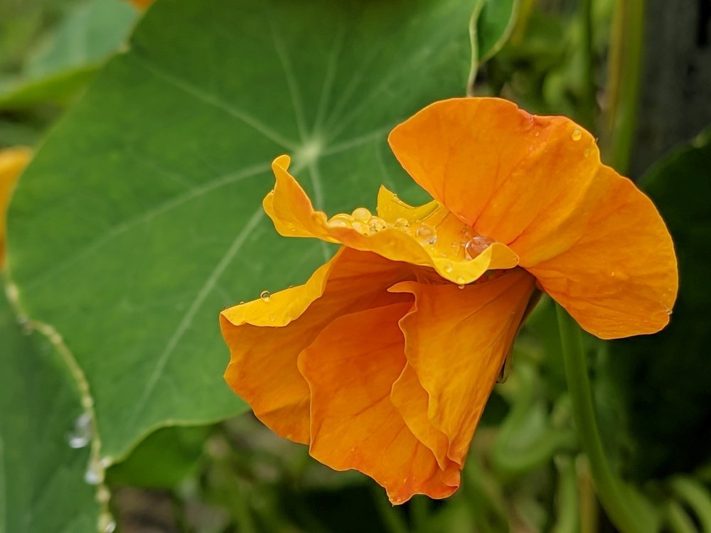 Photograph by Денис Пономарёв