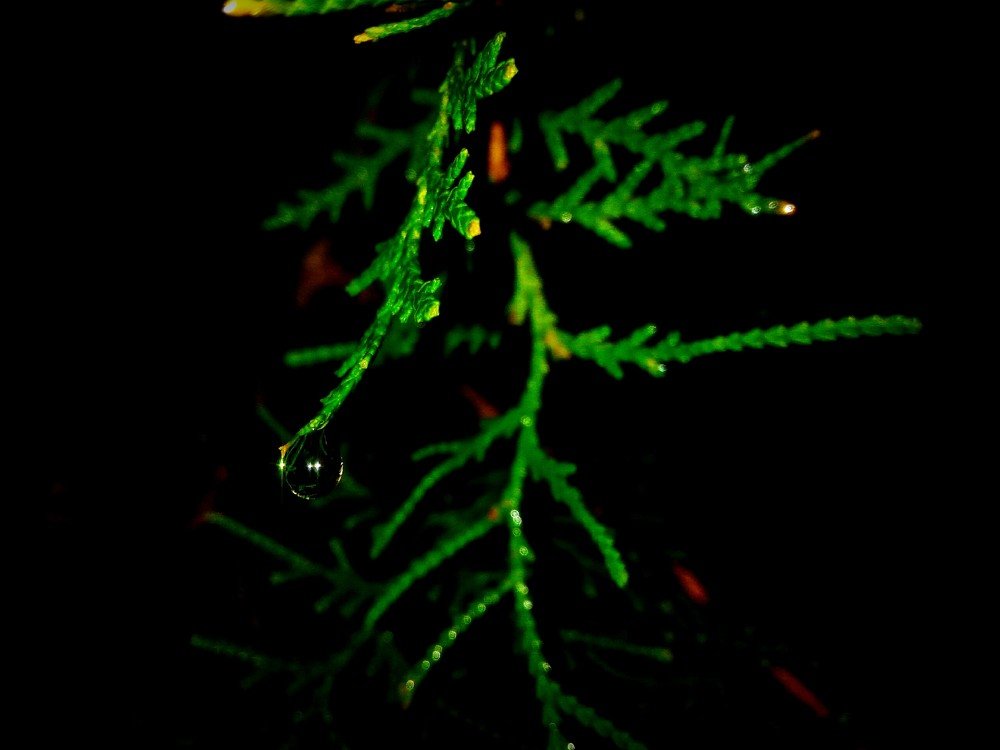 Фотография автора Mansoor Heydaryan