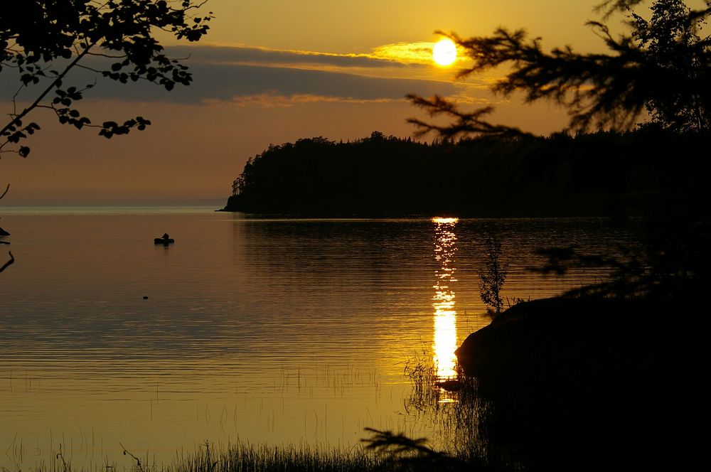Photo #3803031