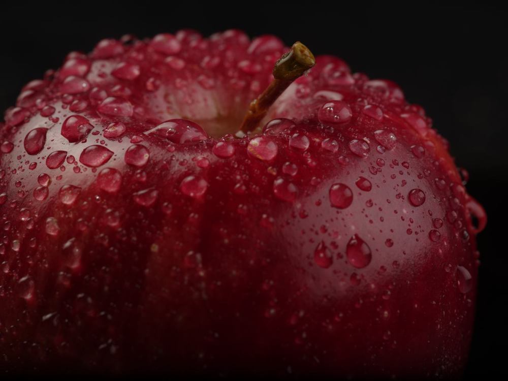 Фотография автора Mansoor Heydaryan