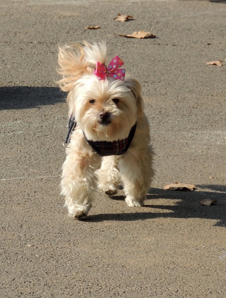 Photograph by Ionescu Stelian