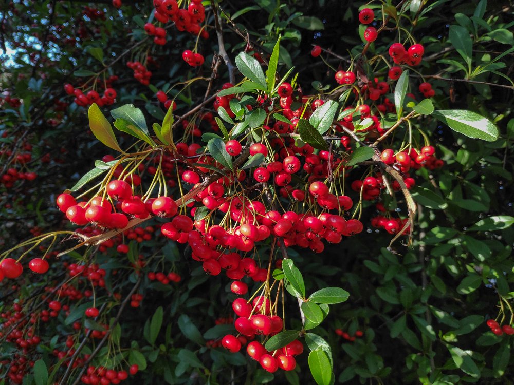 Photograph by Евгений Симион