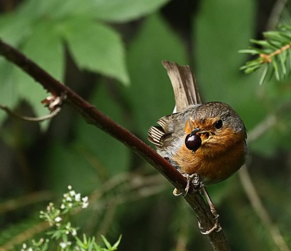 Фотография автора Наталья Законова