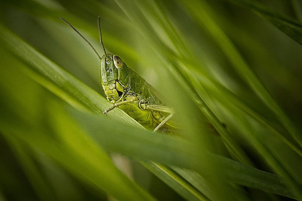 Photograph by Наталья Законова