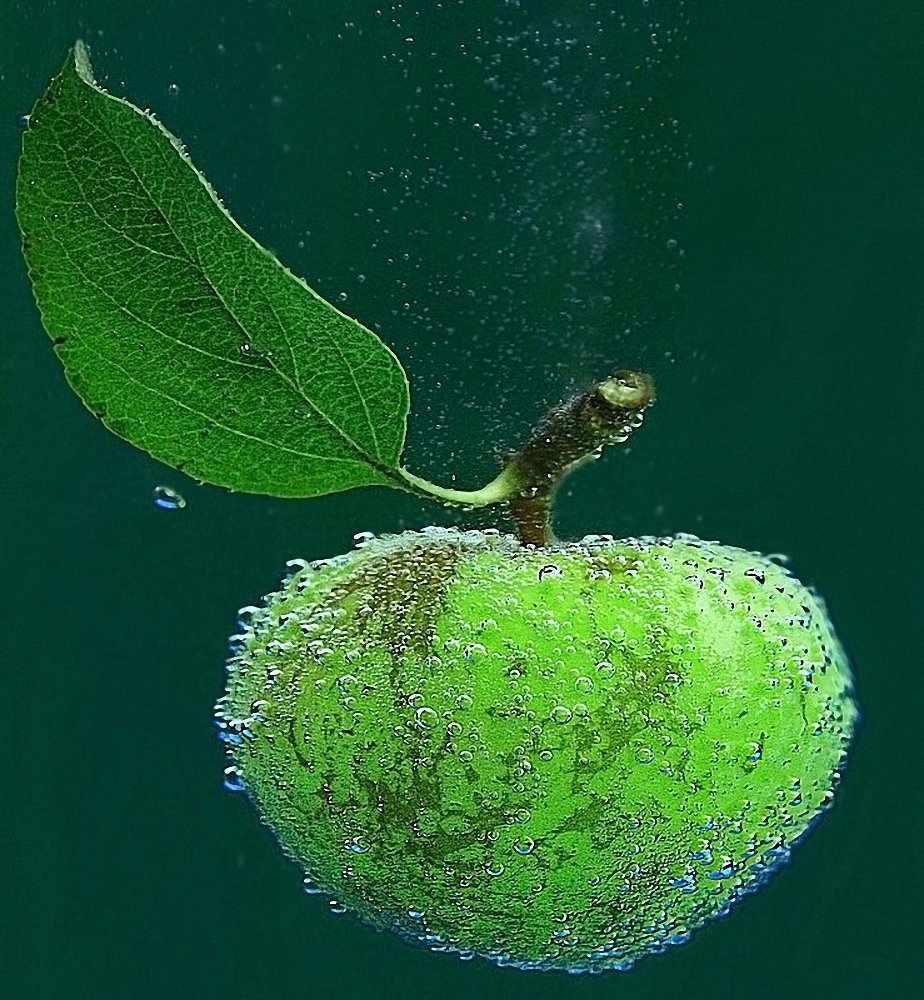 Фотография автора Наталья Законова