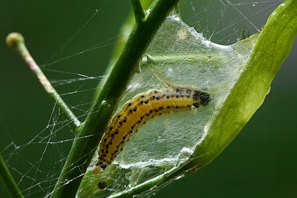 Фотография автора Наталья Законова