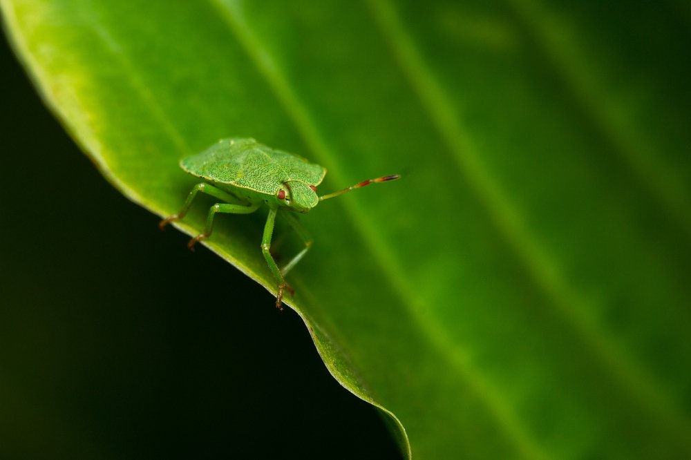 Photograph by Александр Плисик