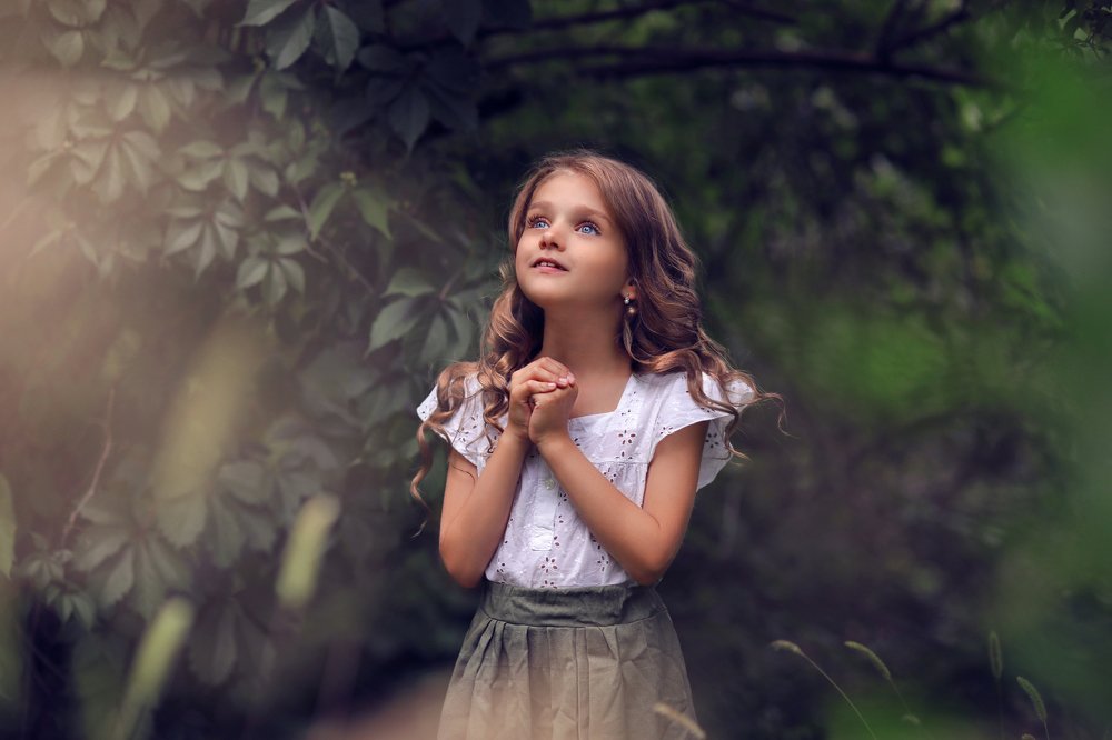 Таинственный сад