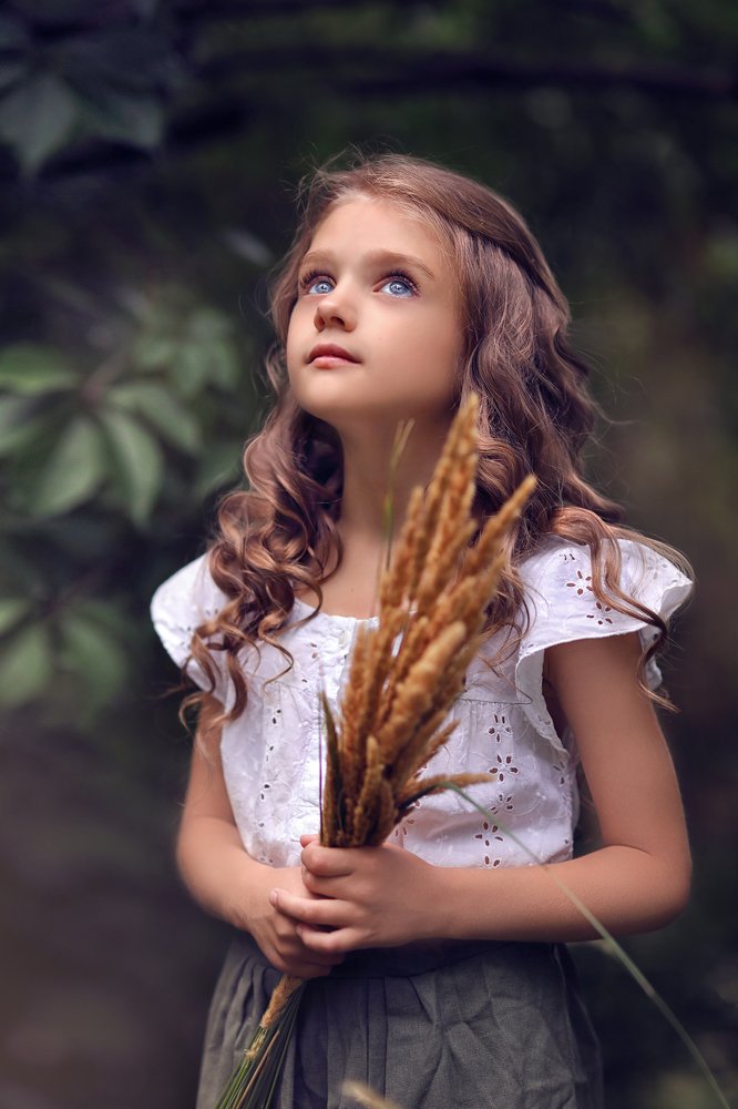 Таинственный сад