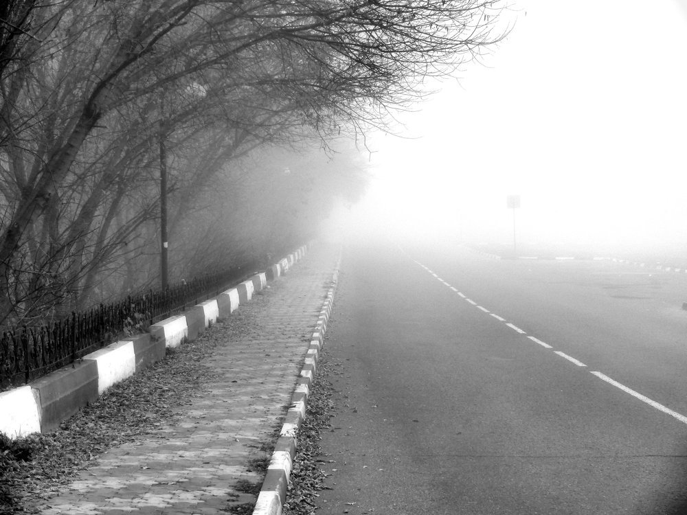 Photograph by Юрий Филицкий