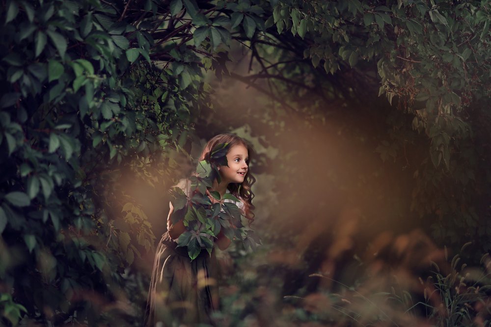 Таинственный сад