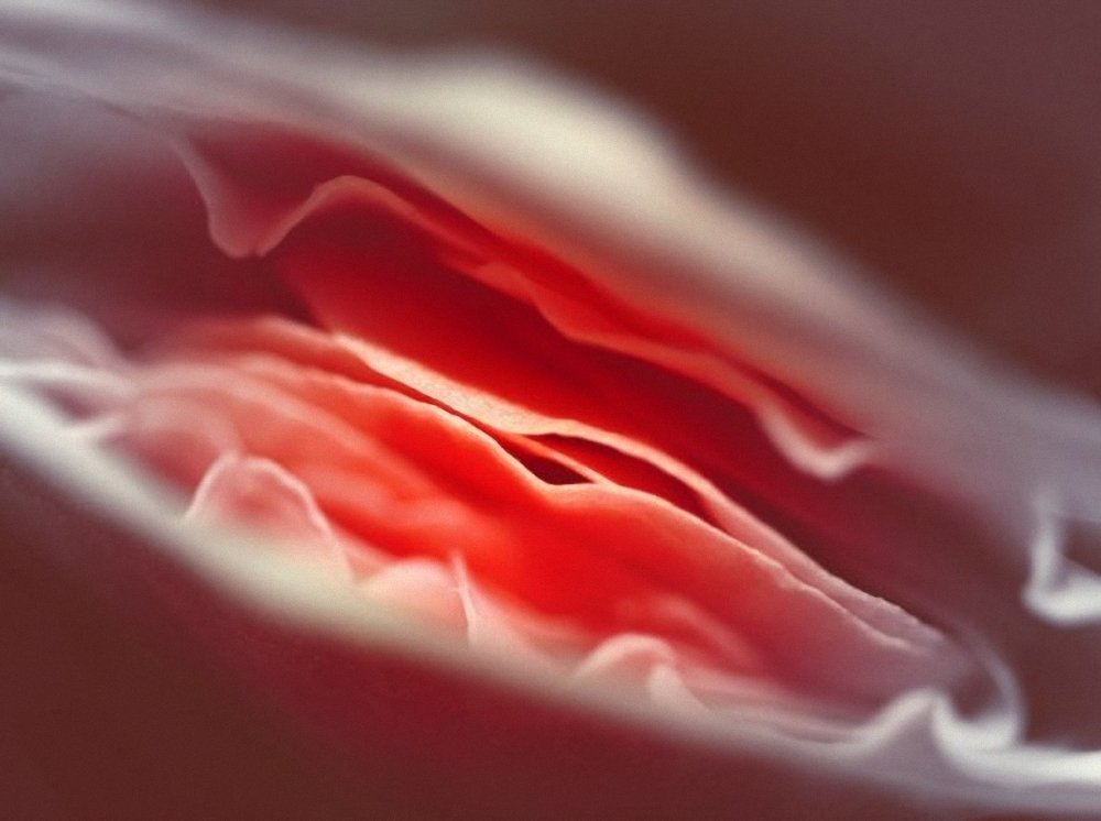 Фотография автора Наталья Законова