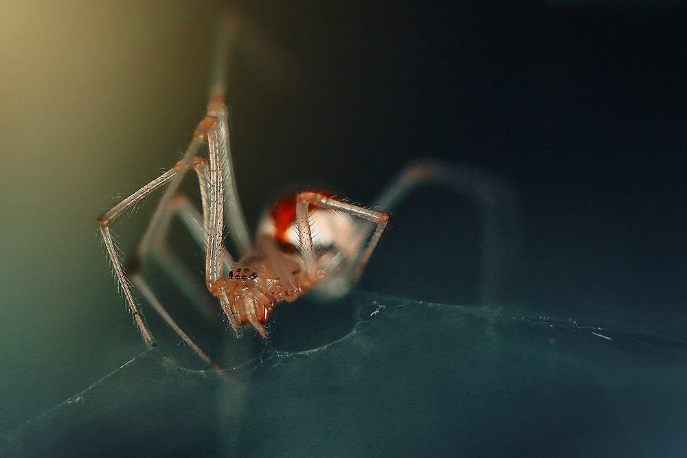 Фотография автора Наталья Законова