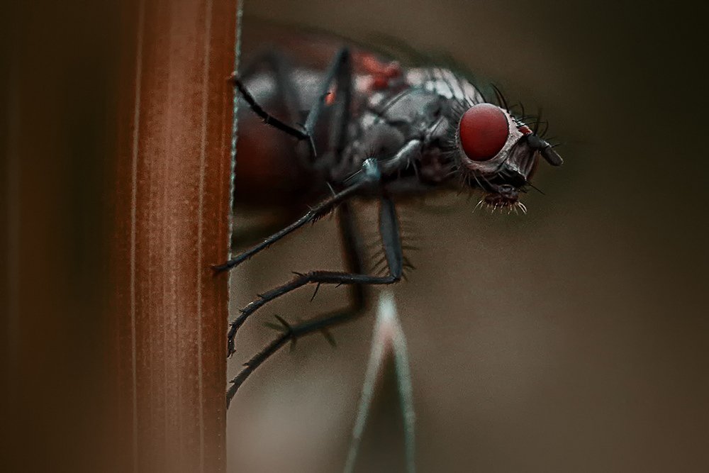 Фотография автора Наталья Законова