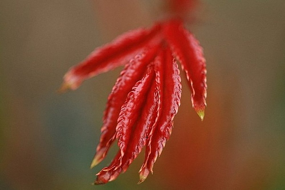 Фотография автора Наталья Законова