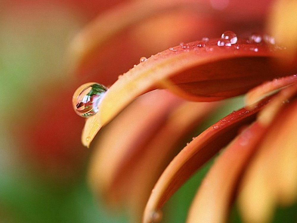 Photograph by Наталья Законова