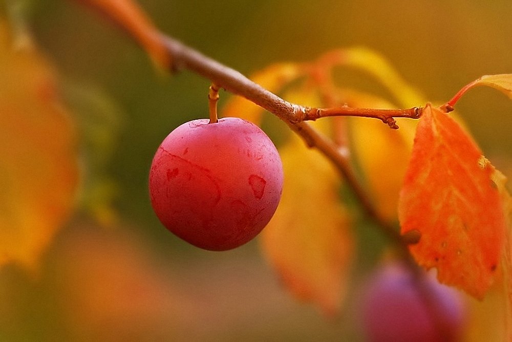 Фотография автора Наталья Законова