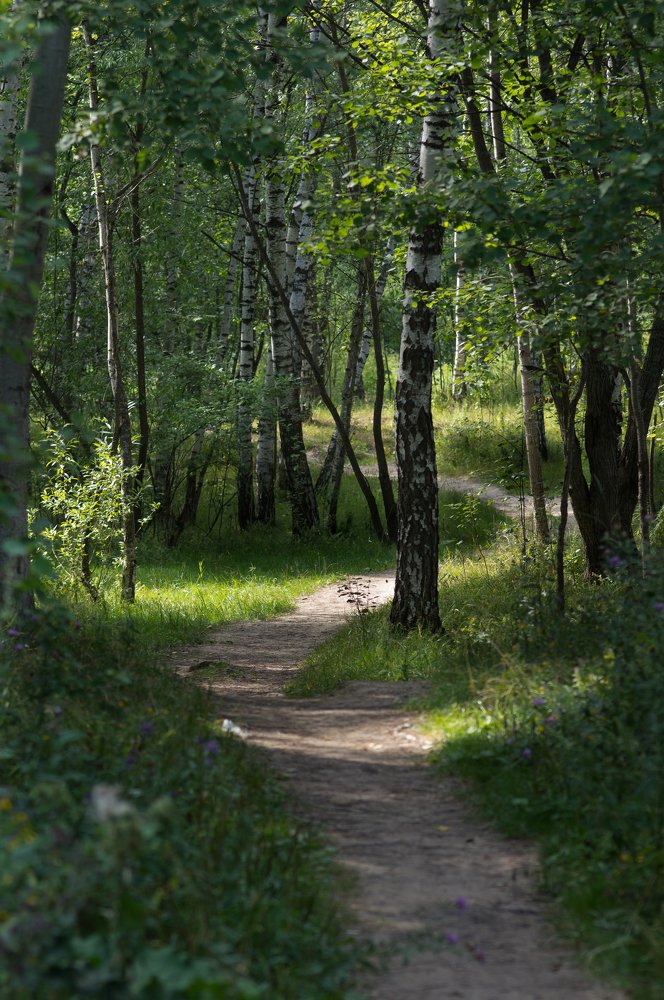 Photograph by Максим Захаров