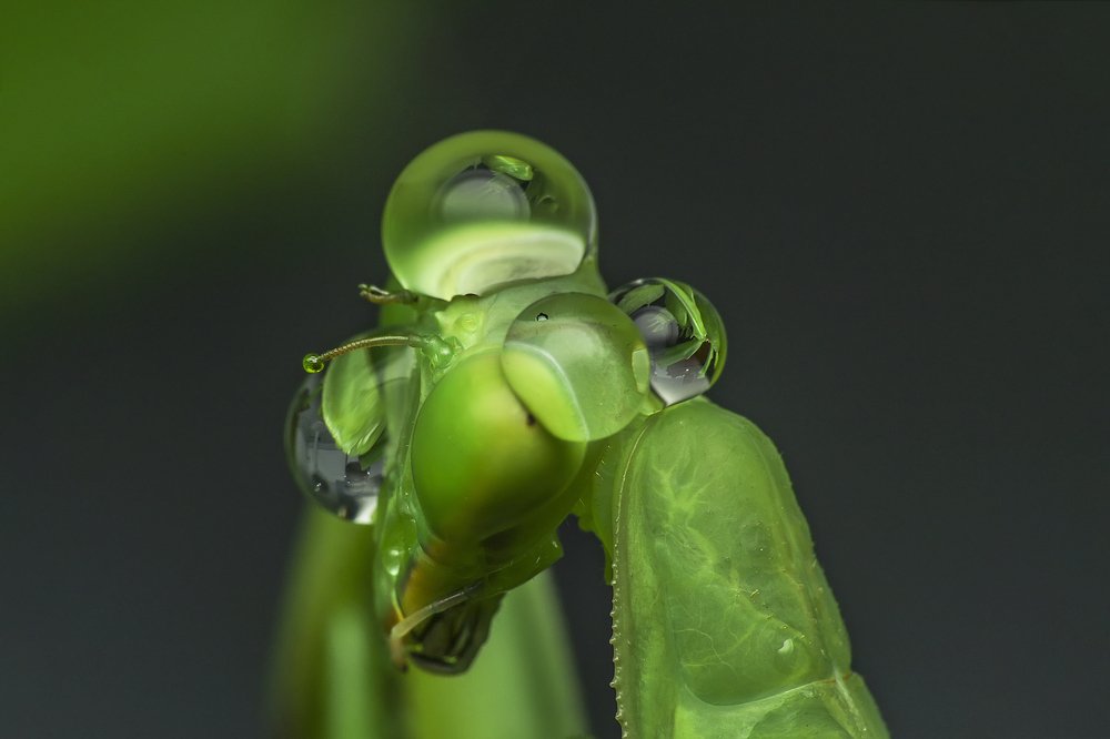 Photograph by NeCoTi ChonTin