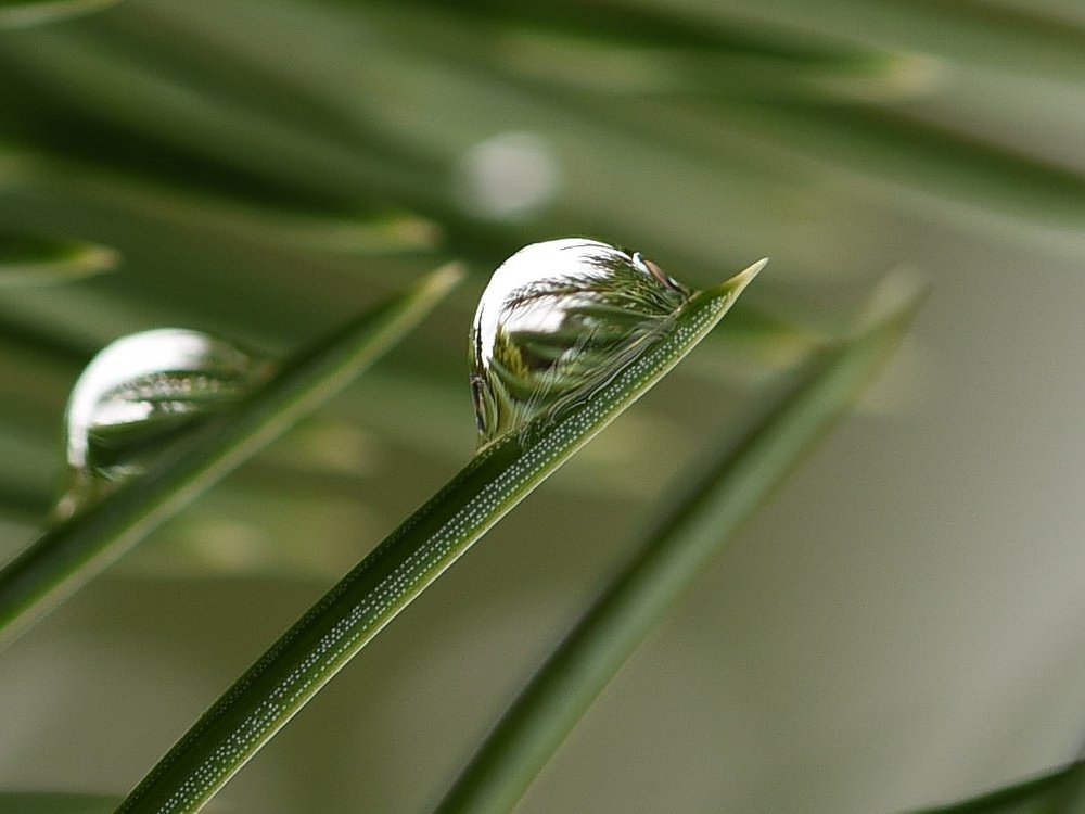 Photograph by Nikolai Savin