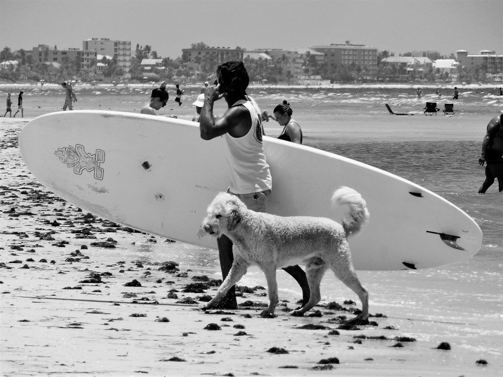 Photograph by Rosângela Verdi