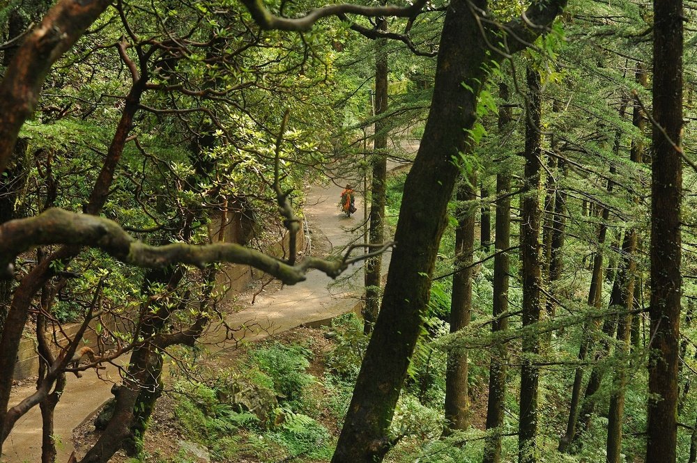 Photograph by Nikolai Savin