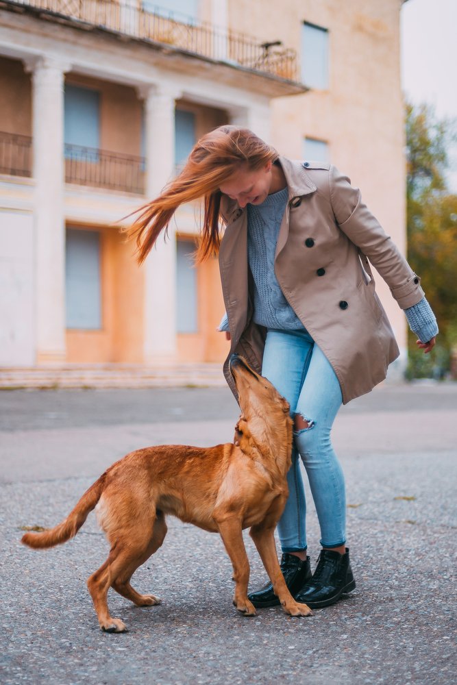 Фотография автора Дарья Шевченко
