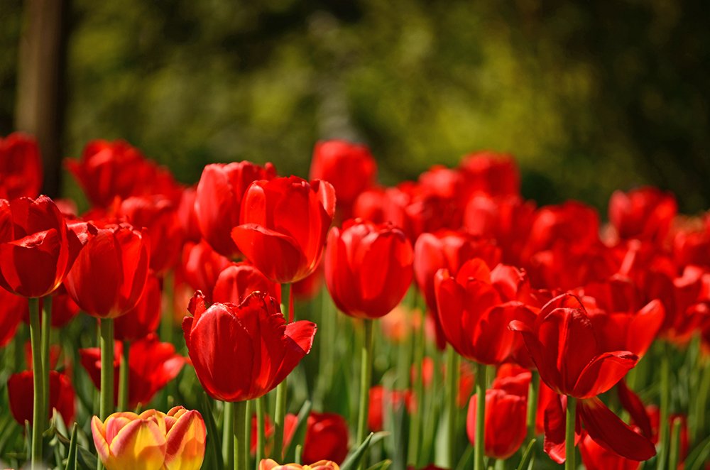 Photograph by Liliana Grup