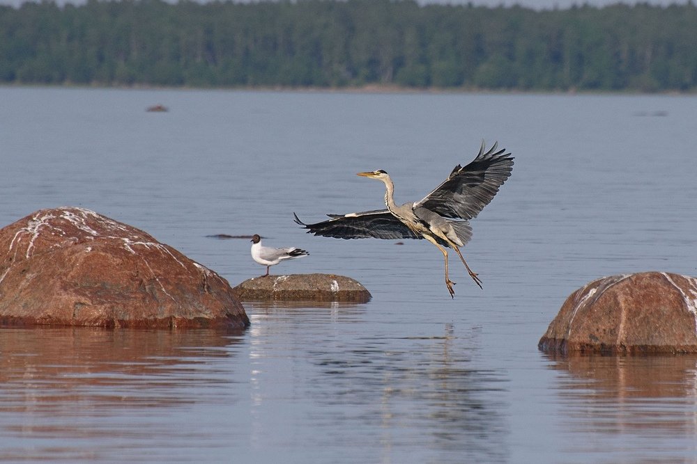 Photograph by Борис Раба