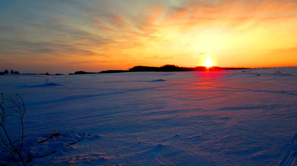 Season Fishing 2017 ©