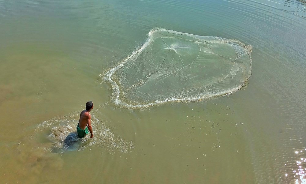 Fisherman