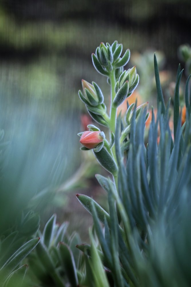 Photograph by  Edi Hidayat