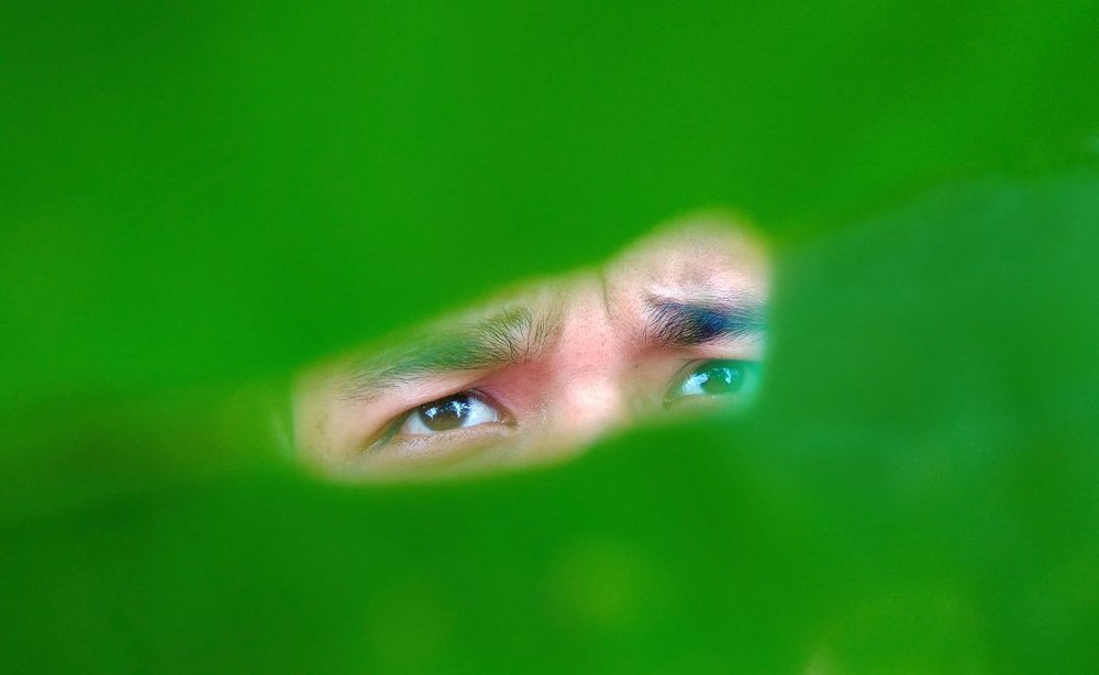 green vision