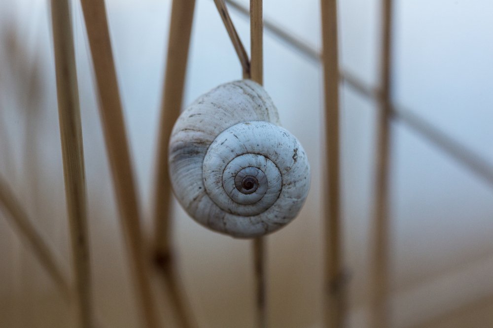 Photograph by Нина Белякова