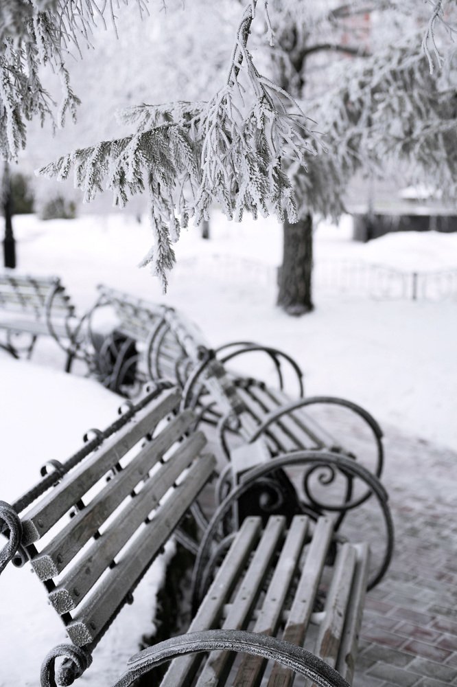 Photograph by Irina Zepeleva