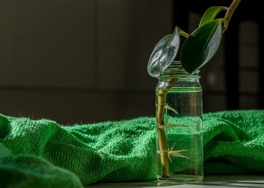 Photograph by Behnam Khoshbaten