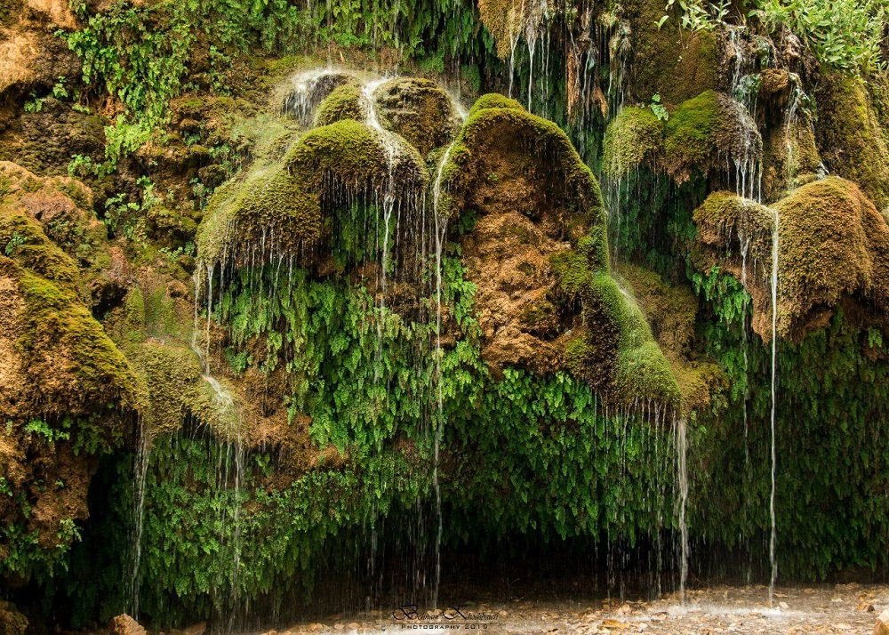 Photograph by Behnam Khoshbaten